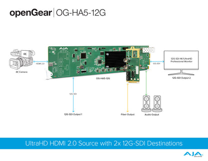 AJA - OG-HA5-12G